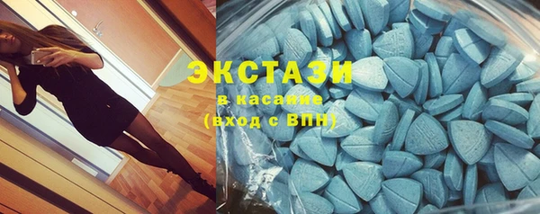 крисы Новодвинск