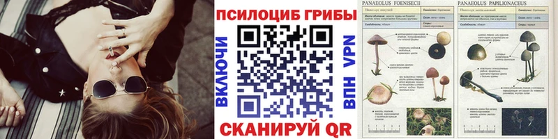 мега ТОР Аша Галлюциногенные грибы GOLDEN TEACHER купить наркоту